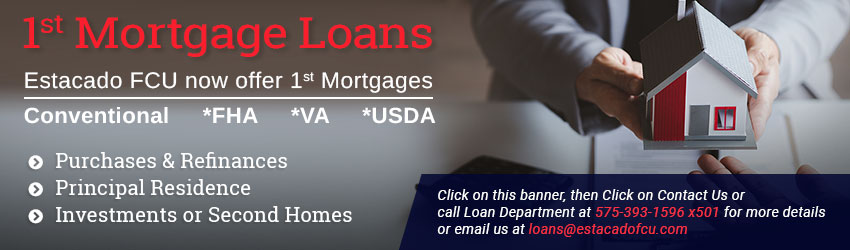 Mortgage Loans